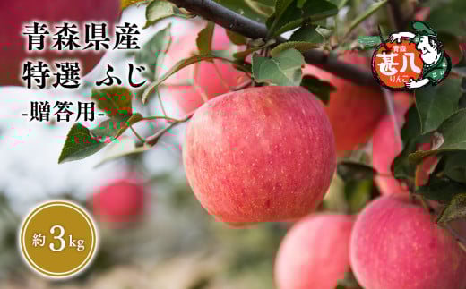 【青森県平川市】5〜7月発送 特選 甚八りんごふじ3kg 【青森県 平川市 マルジンサンアップル】5〜7月発送 青森 青森県産 平川 りんご リンゴ 林檎 くだもの 果物 フルーツ