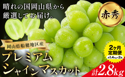 2026年先行予約】ぶどう プレミアム シャインマスカット定期便 9月 10