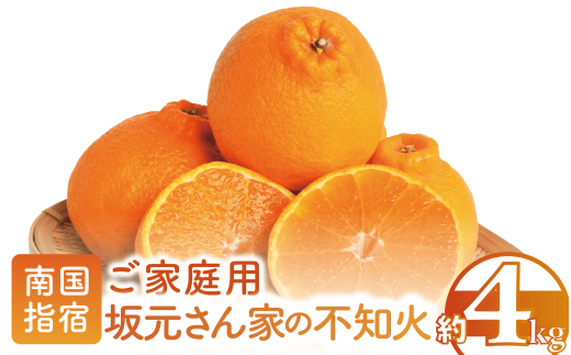 ywhszy2026N2{`z⌳񂿂̕sm΂ƒp4kgx(⌳ʎ/A-085)  ݂ ʂ k t[c ~̏{ ʕ ƒp ~J