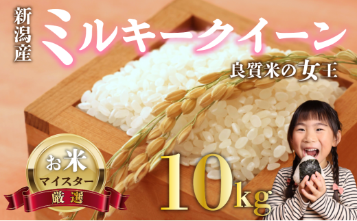 新米 ミルキークイーン 10kg お米 米 白米 こめ しんまい 令和6年産 ご飯 備蓄 贈答 コメ 新潟産 新潟県 新潟米 新潟 新発田 斗伸 -  新潟県新発田市｜ふるさとチョイス - ふるさと納税サイト