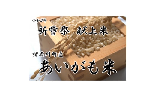 yɌ쒬z쒬YāERVqJ()20kgy1563726z