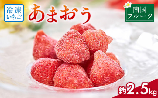 y蒬zY Ⓚ ܂ 2.5kg 2026N4ȍ~ {   ܂ Ⓚ t[c ʕ  XC[c Mtg  蒬