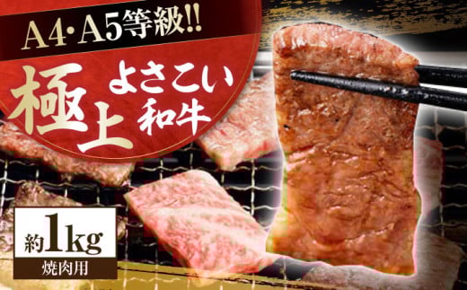 ymmszmY 悳a ēp 1kg  Y Ă BBQ A4 A5 y(L)RdHz [ATAP064]