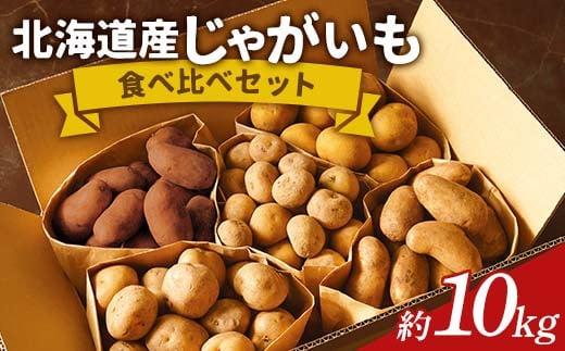 ふるさと納税 野菜類 じゃがいも 北海道 美瑛町 令和７年産予約受付 黒木農場