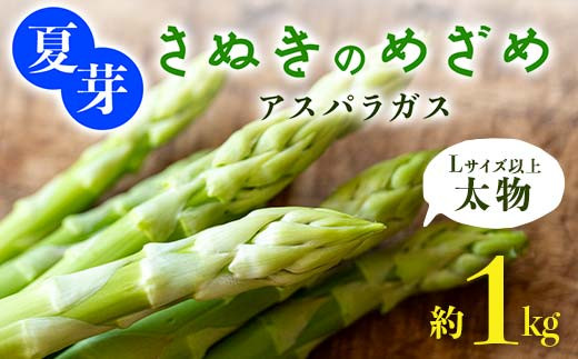 y쌧Օzys\2026N6`10͂zĉ (LTCYȏ) ʂ̂߂߃AXpKX 1kg  F5J-769