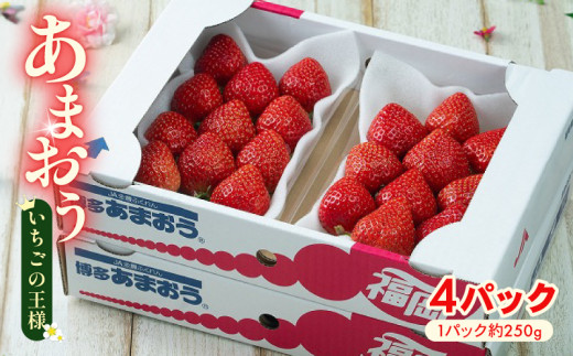 y蒬zy2026N2{3zytzY ܂ 4pbN 1kgȏ ① 2{3܂ŏ {   ܂ t[c ʕ  XC[c Mtg