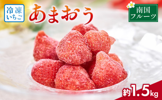 y蒬zY Ⓚ ܂ 1.5kg 2026N4ȍ~ {   ܂ Ⓚ t[c ʕ  XC[c Mtg  蒬