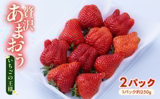 y蒬zy2025N12{2026N1zy~zY ܂ 2pbN ① 12{1܂ŏ {   ܂ t[c ʕ  XC[c Mtg