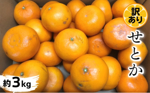 y쌧ωszs󂠂t Ƃ 3kg Â ݂   ʕ  Gߌ k  񂫂  t[c 쌧ωs