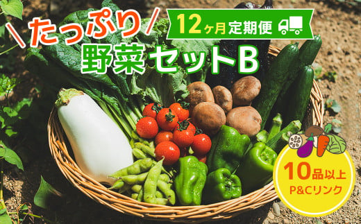 12ヶ月定期便】たっぷり野菜セットB 10品 以上 季節 旬 野菜 詰め合せ 定期 国産 季節 旬 おまかせ 産地直送 春野菜 夏野菜 秋野菜 きのこ  葉物 果物 果菜 根菜 冷蔵 野菜室 ダイエット 食 栄養食 加工品 カット野菜 岩手県産 北上産 季節限定 山菜