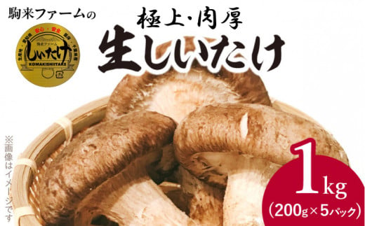 駒来ファームの 極上・肉厚 生しいたけ（生シイタケ 生椎茸 ） - 愛知県小牧市｜ふるさとチョイス - ふるさと納税サイト