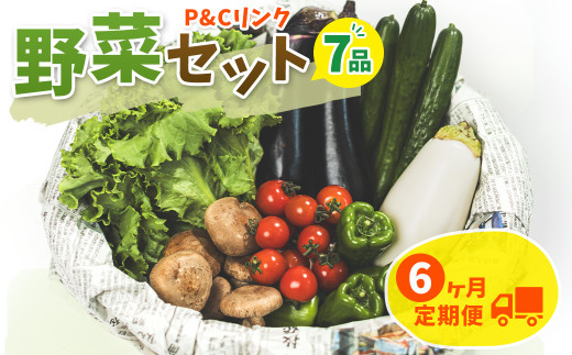 6ヶ月 定期便 】野菜セット 7品 季節 旬 野菜 詰め合せ 定期 6ヶ月 定期便 】野菜セット 7品 季節 旬 野菜 詰め合せ 定期