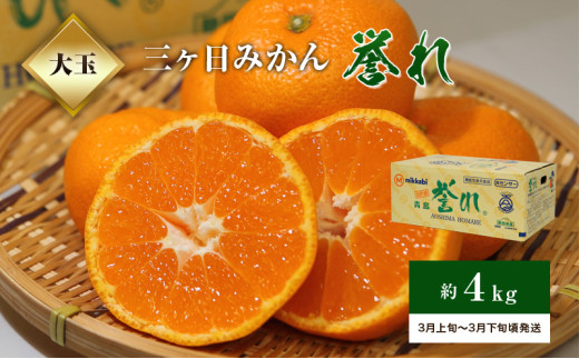 みかん様3-1 無洗米約29kg 楽天市場】【2025/12/1〜12/15お届け】 静岡県産 三ケ日 みかん 約3kg
