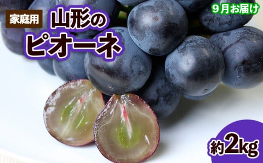 yR`R`szyƒpzR`̃sI[l Di 2kg(2`6[)[9͂] yߘa8NYs\zFS23-645  ʕ t[c R` R` R`s 2026NY