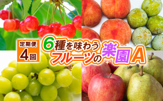 yR`R`szy4zU𖡂키t[c̊y`yߘa8NYs\zFS25-623  ʕ t[c R` R` R`s 2026NY