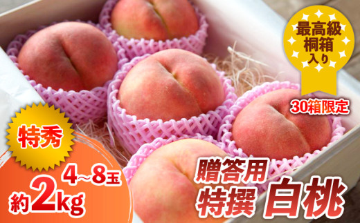 yR`R`szō˔ p   2kg (30)yߘa8NYs\z FS24-045  ʕ t[c R` R` R`s 2026NY