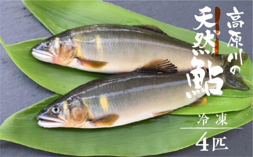 鮎の塩焼き 4尾 岐阜県産 あゆ アユ 鮎 常備食 - 岐阜県飛騨市｜ふるさとチョイス - ふるさと納税サイト