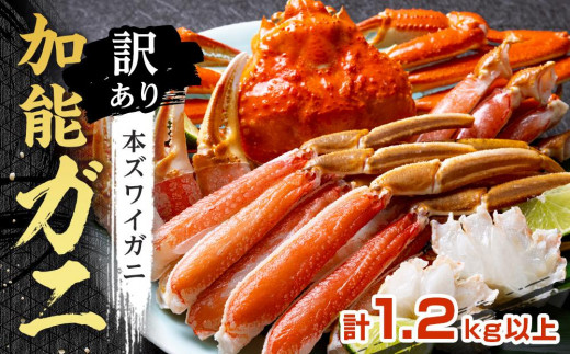 yΐ쌧szy󂠂z` I{C \Kj 2tZbg  YCKj 킢 YCI I Jj ① lC  Ԍ  ΐ  S  S k k