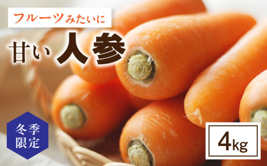 冬季限定】フルーツみたいに甘い人参4kg・S069 - 愛知県西尾市
