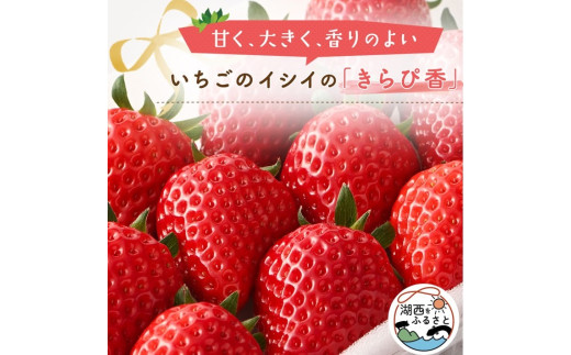 いちご様 （いちご様専用ページ （まるごとイチゴ様専用ページ