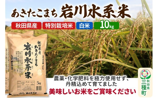 yHcO풬zyāz܂ 쐅n 10kg(5kg×2) ߘa7NY