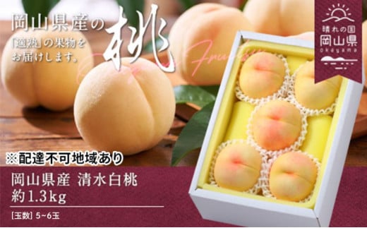 yR˓sz 2026N s\  1.3kg 5`6   RY Y t[c ʕ Mtg [5735-0694]