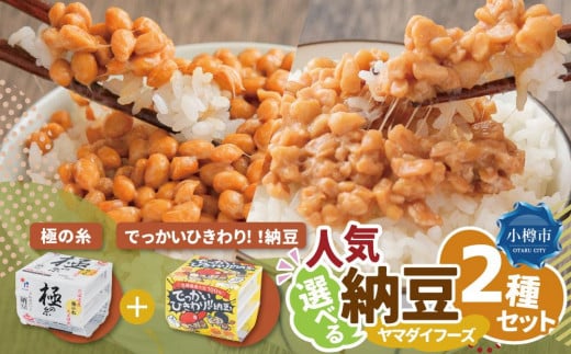 【北海道小樽市】ヤマダイフーズ【 極の糸 北海道産極小粒納豆 】(40g×3パック)×12個(合計36パック)、でっかいひきわり!! 納豆 (3パック×12個)×2ケース(合計72パック)