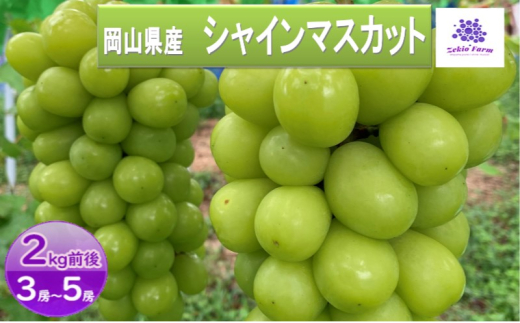 yRsz[5615-0624]VC}XJbg 2kg 3[`5[  t[c R sY _ Ԃǂclub 2026N s\