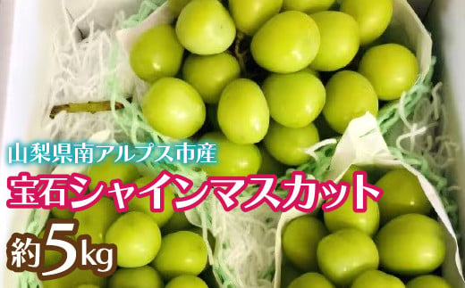 ☆日本テレビ「ZIP！」で取り上げられました！☆【令和7年発送先行予約】絶品！南アルプス市産シャインマスカット1.8kg ALPAA004 | 山梨  山梨県 ぶどう 葡萄 ブドウ マスカット 種なし 大粒 フルーツ くだもの 果物 高級 新鮮 産地直送 贈答 ギフト 家庭用 1.8キロ 2025年  ...