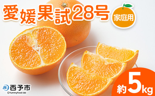 yQ\szg܂ǂȂƓiIQʎ28 ƒp 5kg 󂠂 킯 p ʕ t[c ݂ ~J  IW Ђ߂ Iׂ Hׂĉ Yi kēc