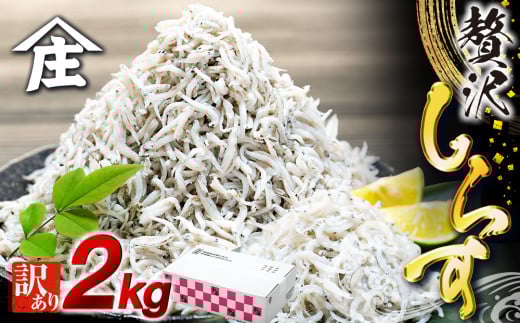 ymmz炷 2kg ( 1kg × 2 ) 󂠂 Ⓚ ߂ 炷  g ͂  pX^ `[n T_   m m t