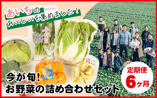6ヶ月定期便】今が旬！お野菜の詰め合わせセット ／ 旬野菜 定期便
