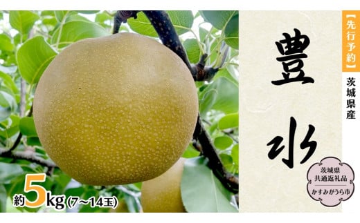 ふるさと納税 梨 茨城県 桜川市 2025年9月上旬発送開始 茨城県産 梨 