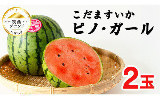 ６５５５円・６～８玉・第２弾・数量限定・ピノガール「小玉スイカランキング第１位」 5555円・4玉・第2弾・数量限定・ピノガール「小玉スイカ