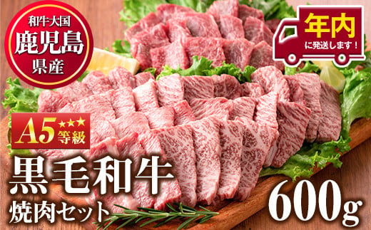 No.507-03 ＜年内発送可＞A5等級！鹿児島県産黒毛和牛焼肉セット(計600g・霜降り焼肉200g×2P、赤身焼肉200g×1P)国産 九州産  牛肉 黒毛和牛 和牛 焼肉 焼き肉 赤身 霜降り A5 A5ランク A5等級 食べ比べ セット 冷凍 年内発送 年内【カミチク】 - 鹿児島県日置市｜ ふるさと ...