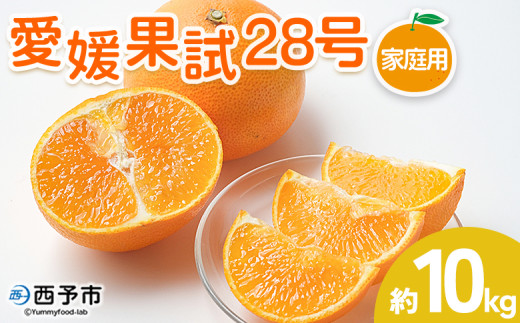 紅まどんなと同品種！＜愛媛果試28号 家庭用 約10kg＞ 訳あり