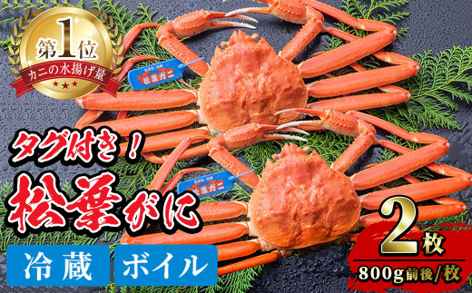 y挧`szws1{`2{\聄ԌEʌ聄`g tKj(2)ysm-BP002-AzytWLR[|[Vz