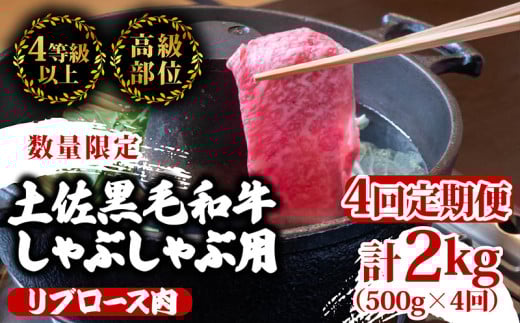 ym{szy4zy  a  Ԃԗp v2kgi500g×4A͂)3XR[X|  u[X ŏʓ A4 A5 ōN ґ Ԃ  XCX ēp