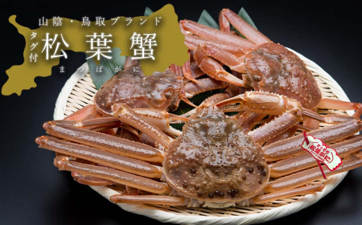 【鳥取県八頭町】【活き】タグ付き松葉ガニ 大 2枚(800〜940g前後/枚)