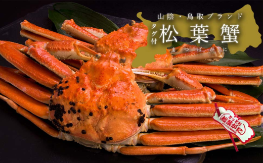 y挧zyz^OttKj@@1(800`940gO)