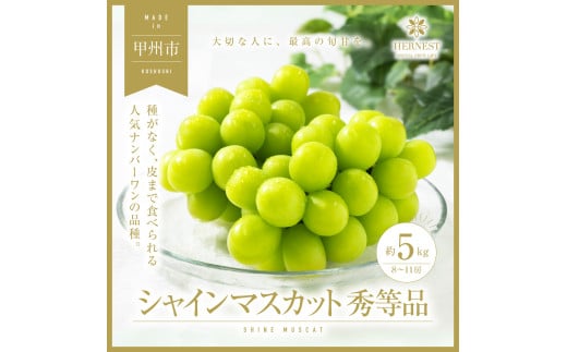 甲州市産 シャインマスカット 秀等品 8～11房 約5kg【2025年発送】（HNT）E2-411 【シャインマスカット 葡萄 ぶどう 令和7年発送  期間限定 山梨県産 甲州市 フルーツ 果物 贈答品 ギフト】 - 山梨県甲州市｜ふるさとチョイス - ふるさと納税サイト