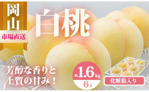 yRaCzEo-1yߘa8NEs\zRY@6ʁiv1.6kgȏj@ϔ