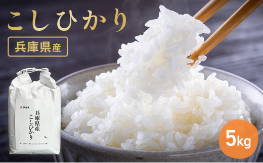 yɌɒOsz ߘa7NY ɌYRVqJ5kg   V  R  Ɍ ɒOs  [5275-0201]