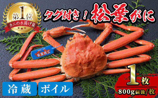 y挧`szs\tIE1{`2{\聄ԌEʌ聄`g tKj(1)ysm-BP001zytWLR[|[Vz