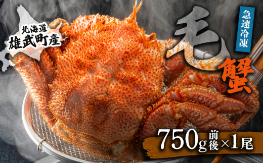 カニ オホーツク産 オホーツク 毛がに 毛ガニ 毛蟹 蟹 カニ 750g 1尾 かに