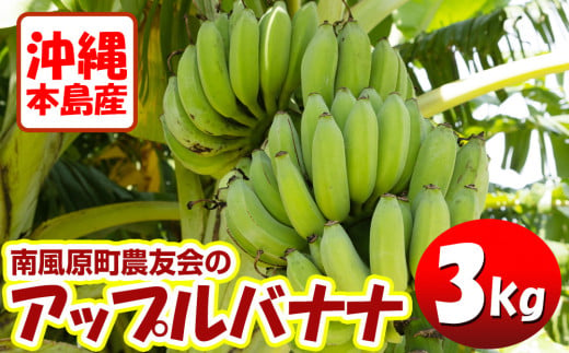 【希少】沖縄本島産 南風原町農友会の「アップルバナナ」 3kg - 沖縄県南風原町｜ふるさとチョイス - ふるさと納税サイト