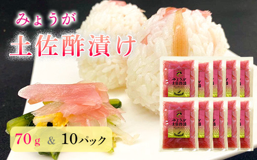 みょうが土佐酢漬け（70g×10パック） - 高知県いの町｜ふるさと
