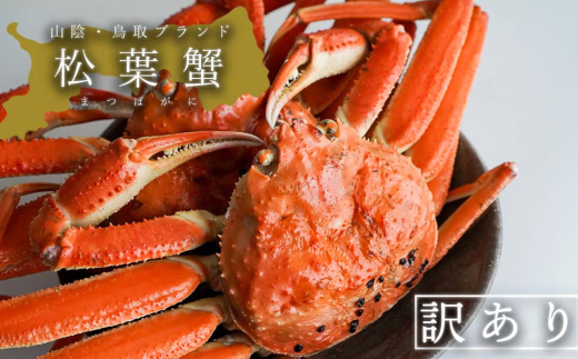 ふるさと納税 訳ありボイル松葉ガニ2枚セット 鳥取県鳥取市 □浜下商店□松葉ガニ2～4枚〔浜ゆで〕◇訳あり◇(44K.) | 鳥取県湯梨
