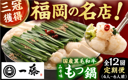 yL쒬zy12ցzyꓡzYјâ疡X 4`6lO L쒬 / Smallcompany [AFCB012]