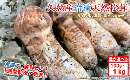 内容量が選べる！」久慈産【冷凍】天然松茸「サイズ、つぼみ、開きおまかせ」100g～１kg - 岩手県久慈市｜ふるさとチョイス - ふるさと納税サイト